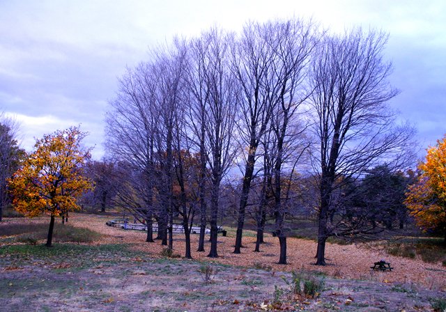 photo 0231.jpg